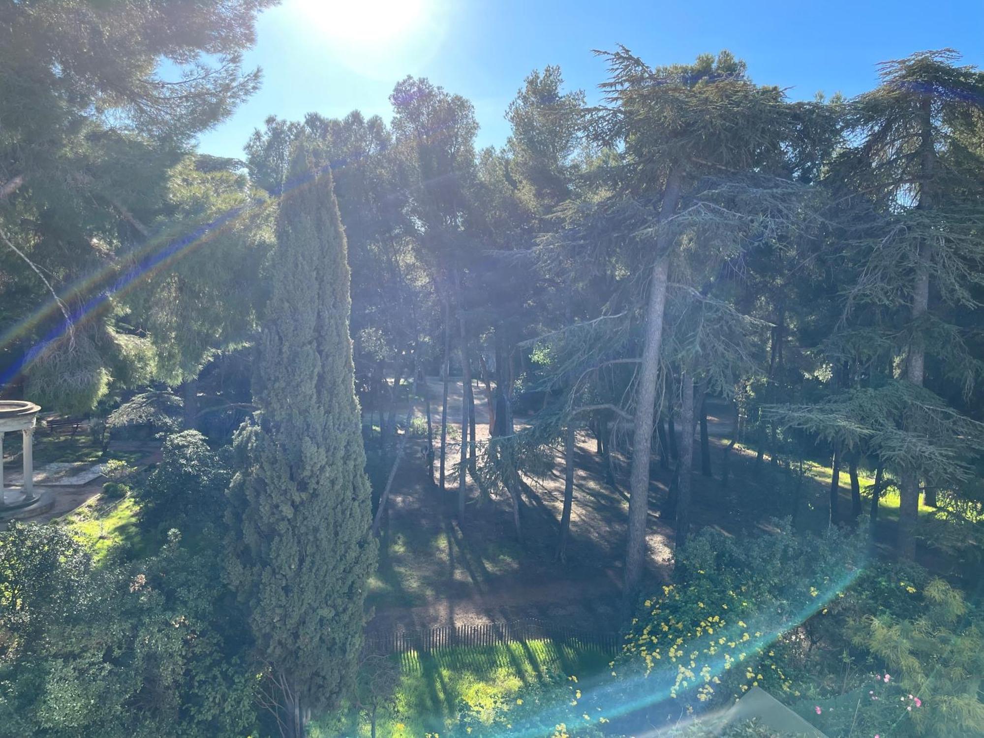 Bandol - Plage De Renecros Екстер'єр фото